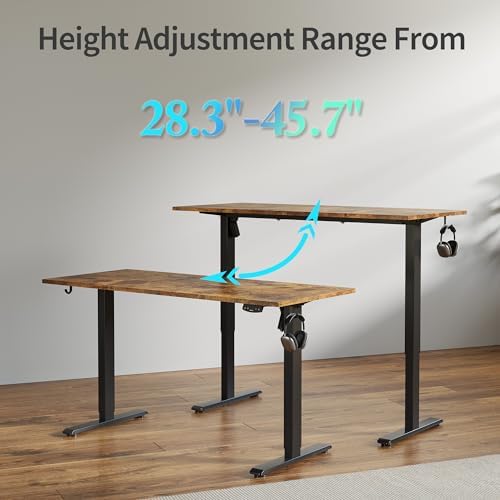 Electric Standing Desk, 48 x 24 Inches Height Adjustable Desk, Sit Stand up for Work