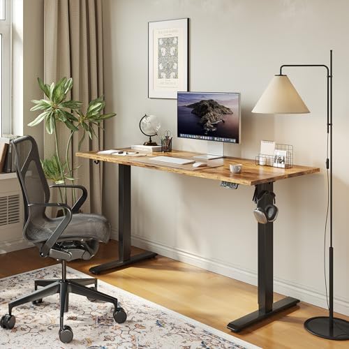 Electric Standing Desk, 48 x 24 Inches Height Adjustable Desk, Sit Stand up for Work