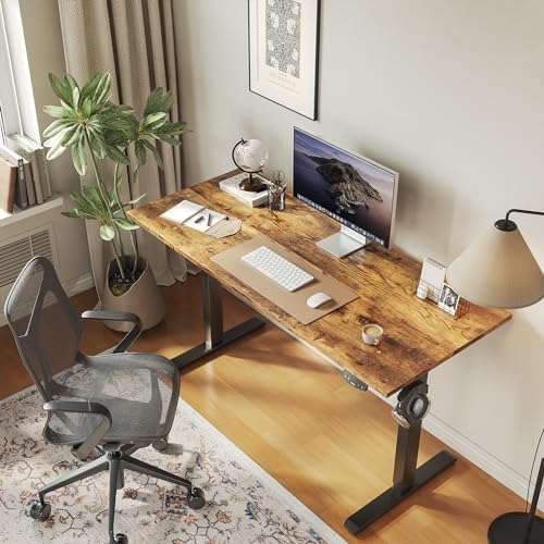 Electric Standing Desk, 48 x 24 Inches Height Adjustable Desk, Sit Stand up for Work