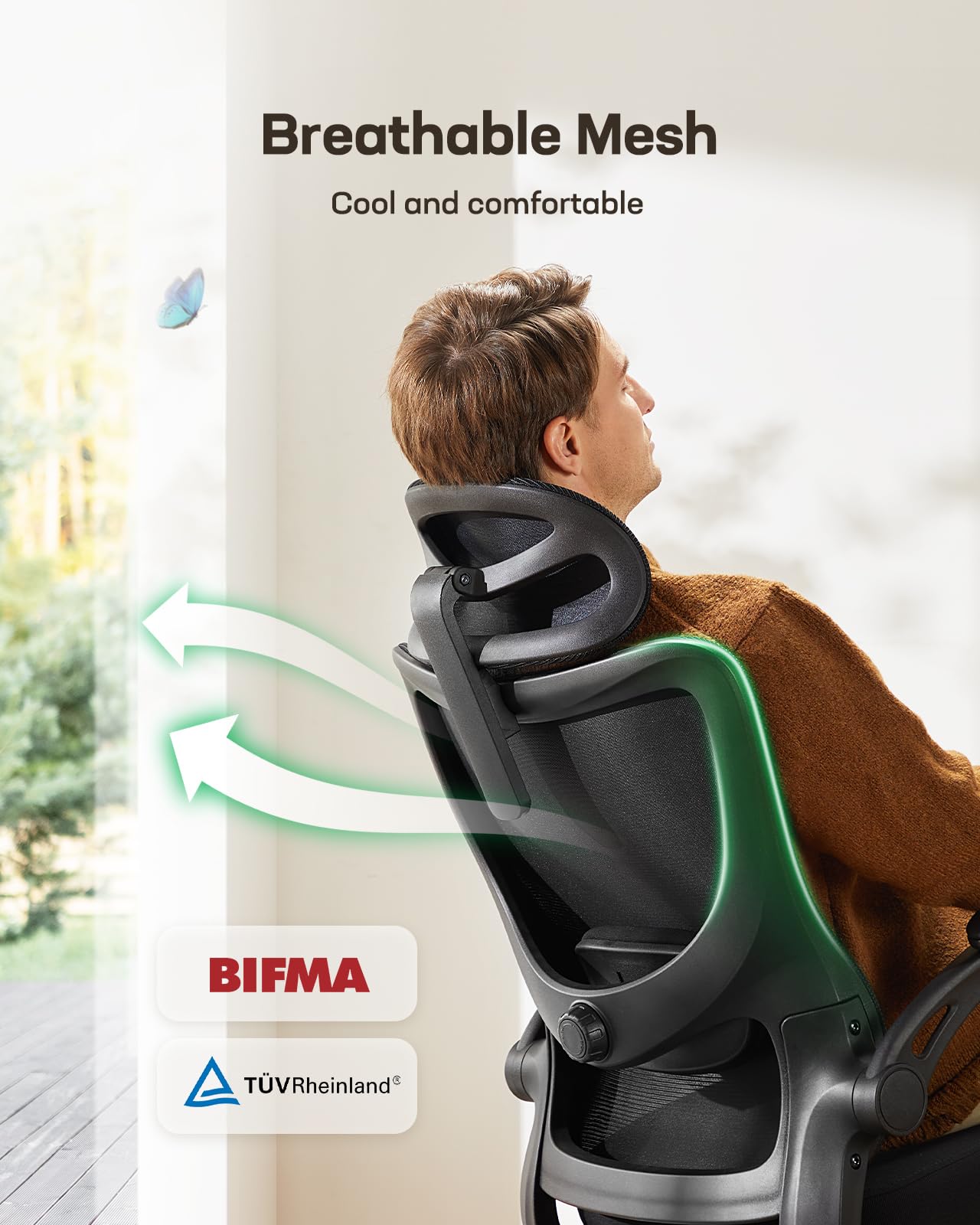 Ergonomic Office Chair with Mesh Back, Adjustable Lumbar Support, 3D Armrests & Headrest,