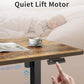 Electric Standing Desk, 48 x 24 Inches Height Adjustable Stand up Desk, Sit Stand Home