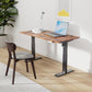Electric Standing Desk, 48 x 24 Inches Height Adjustable Stand up Desk, Sit Stand Home