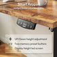 Electric Standing Desk, 48 x 24 Inches Height Adjustable Desk, Sit Stand up for Work