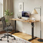 Electric Standing Desk, 48 x 24 Inches Height Adjustable Desk, Sit Stand up for Work