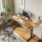 Electric Standing Desk, 48 x 24 Inches Height Adjustable Desk, Sit Stand up for Work