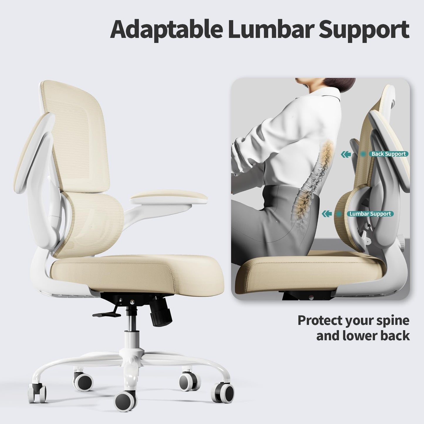 White Ergonomic Office Chair – Mesh Desk Chair with Adjustable Lumbar Support, Comfortable Executive