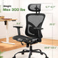 Ergonomic Office Chair with Mesh Back, Adjustable Lumbar Support, 3D Armrests & Headrest,