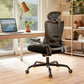 Ergonomic Office Chair with Mesh Back, Adjustable Lumbar Support, 3D Armrests & Headrest,