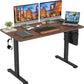 Electric Standing Desk Adjustable Height Sit Stand Home Office Desk with Splice Board