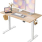 Electric Standing Desk, 48 x 24 Inches Height Adjustable Stand up Desk, Sit Stand Home