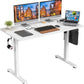 Electric Standing Desk Adjustable Height Sit Stand Home Office Desk with Splice Board